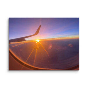 Spring Flight