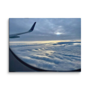 Winter Flight