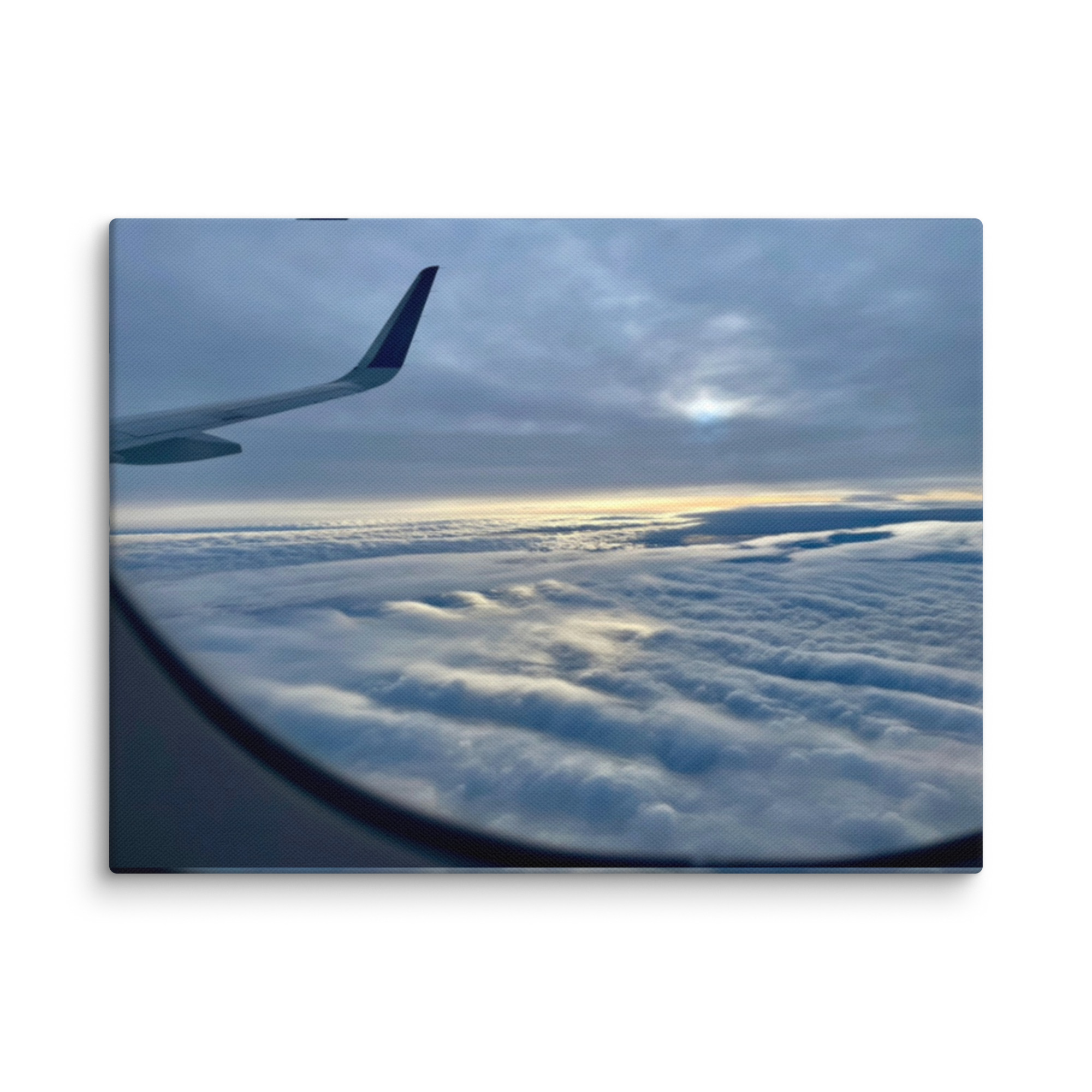 Winter Flight