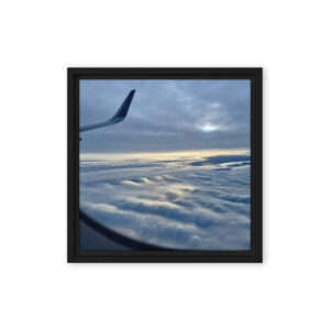 Winter Flight