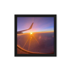 Spring Flight