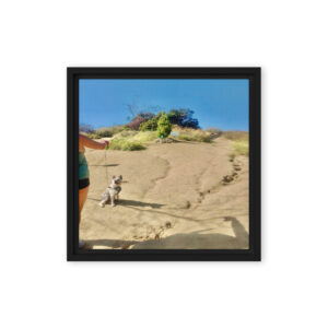 Trail and Error