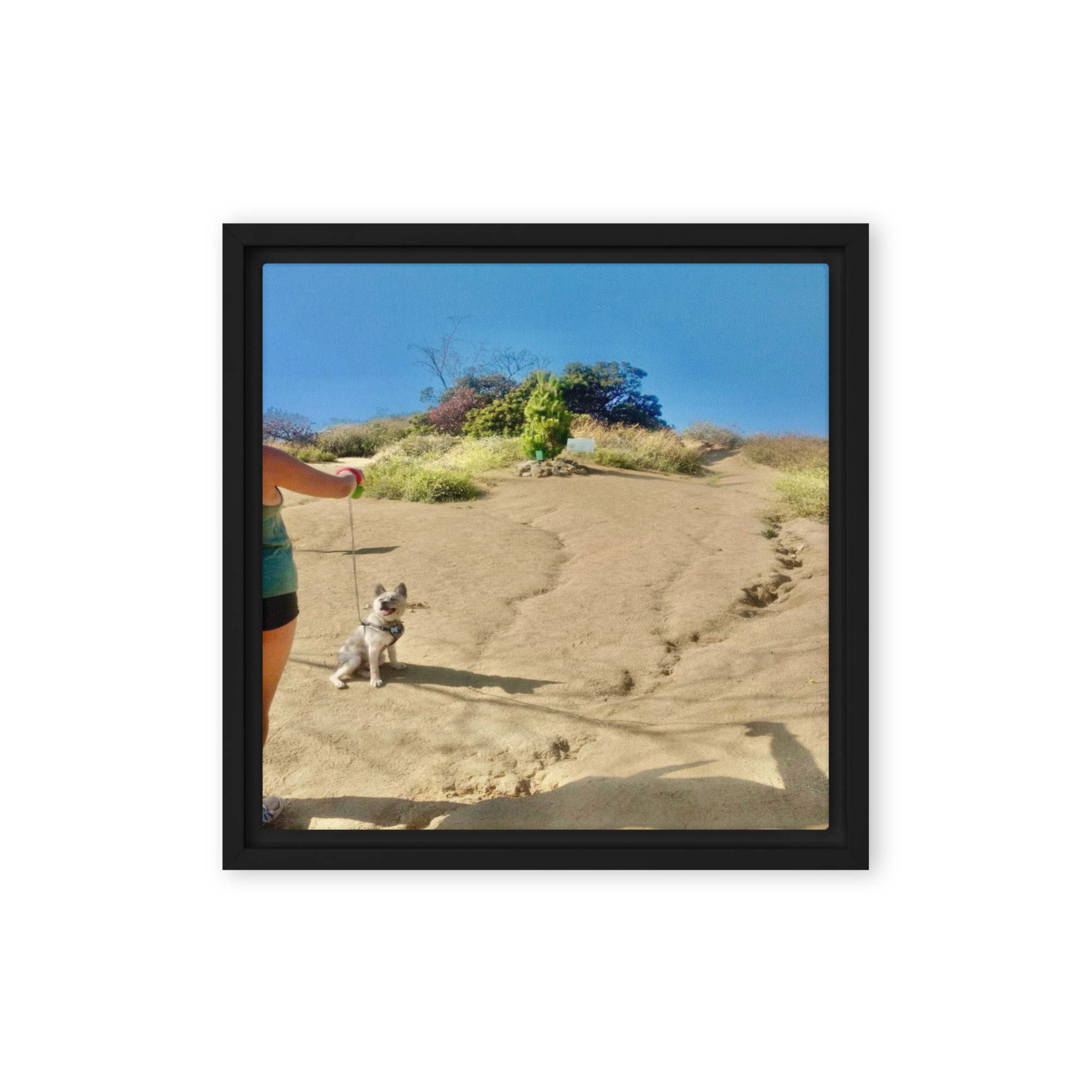 Trail and Error