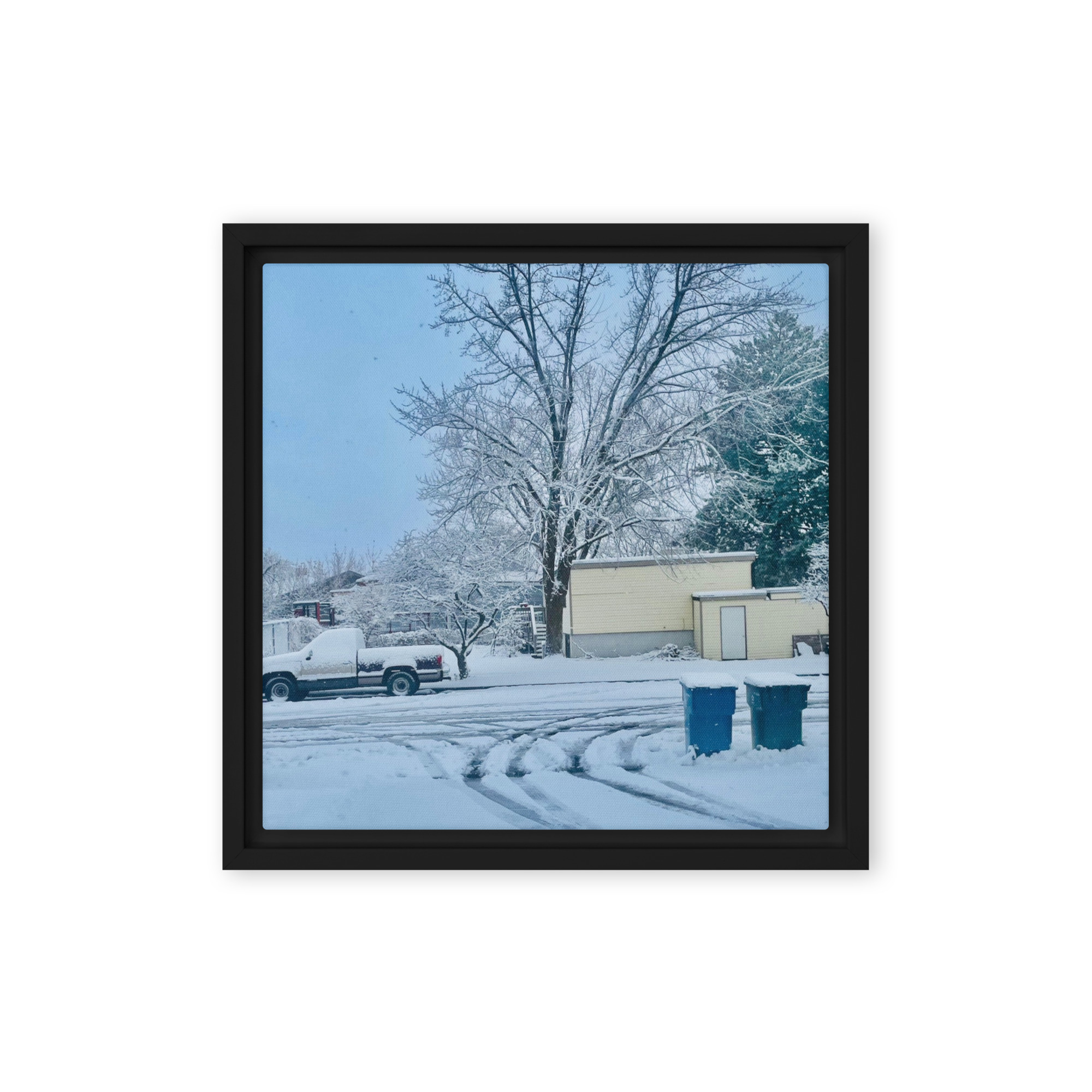 Frost Vale
