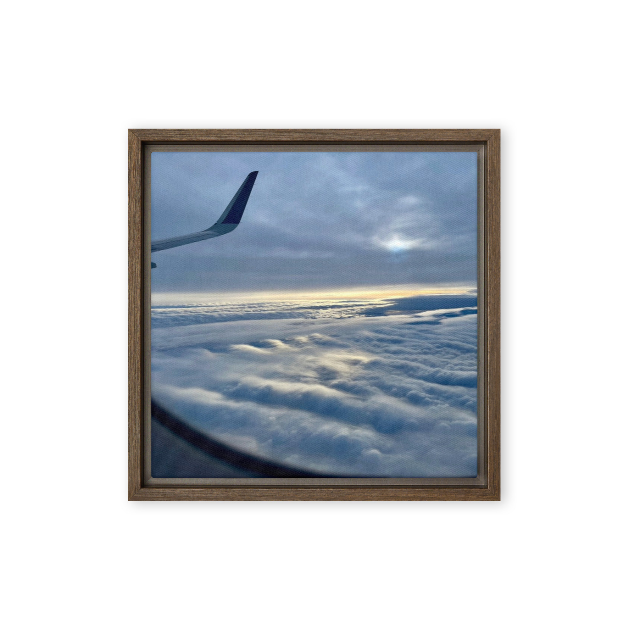 Winter Flight - Image 2