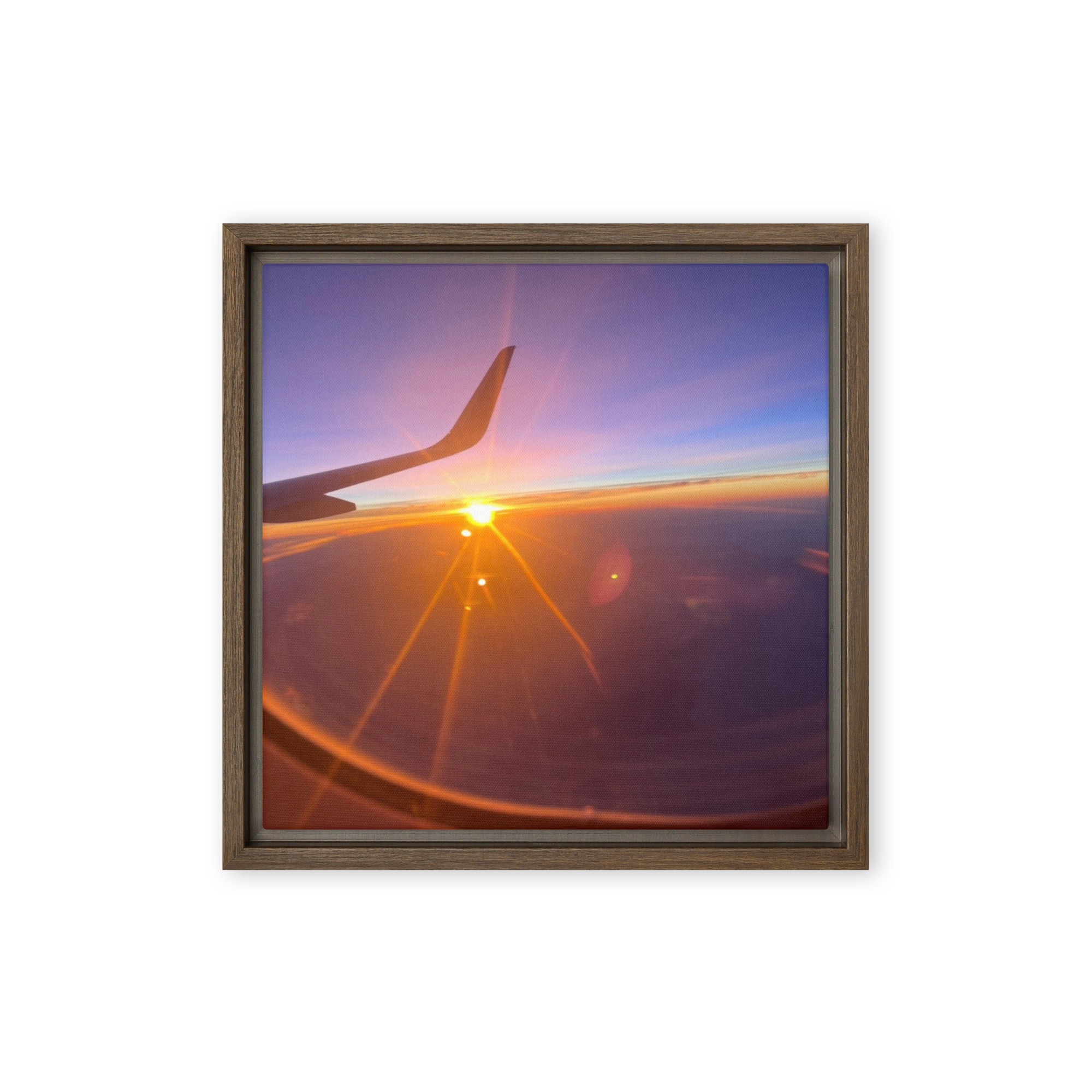 Spring Flight - Image 2