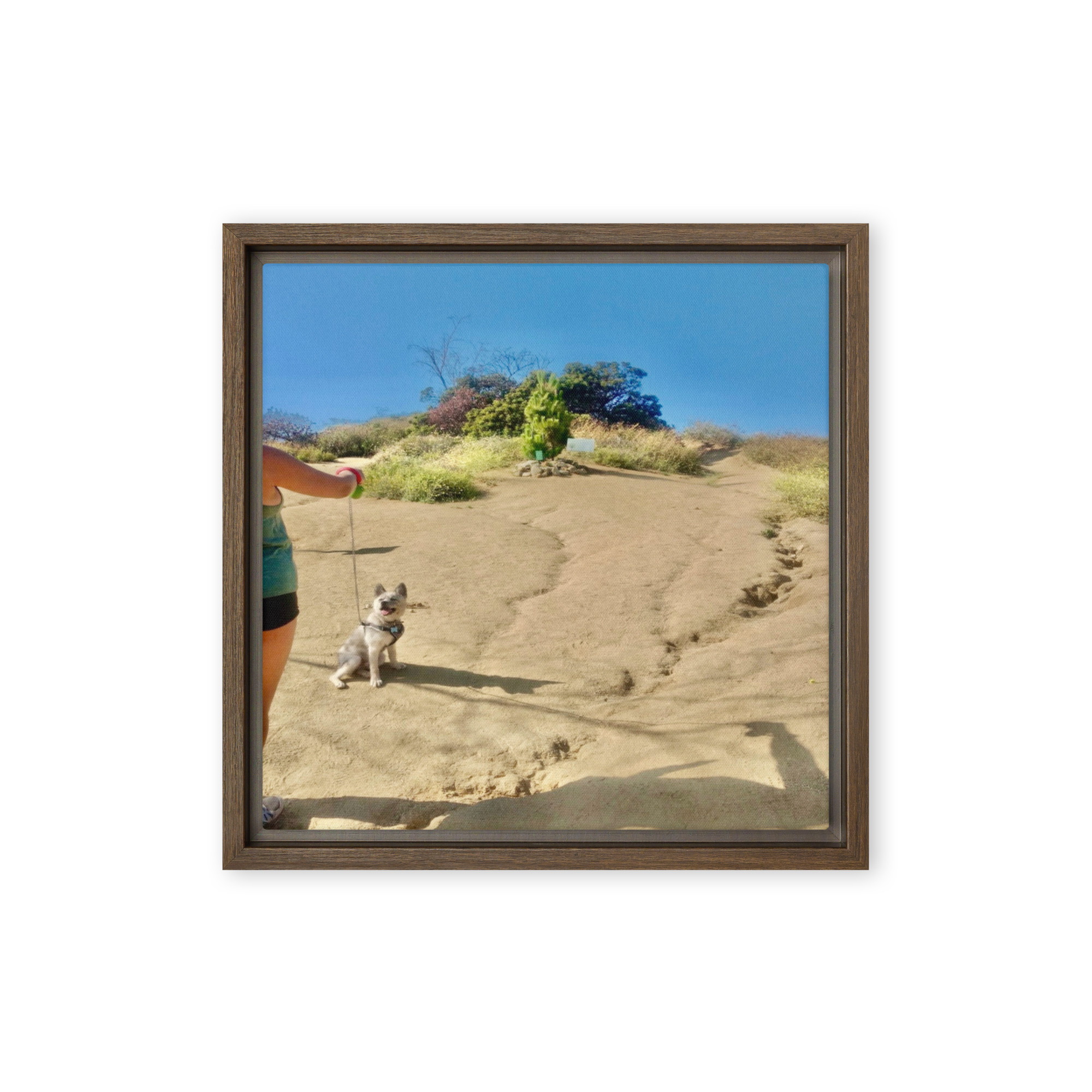 Trail and Error - Image 2