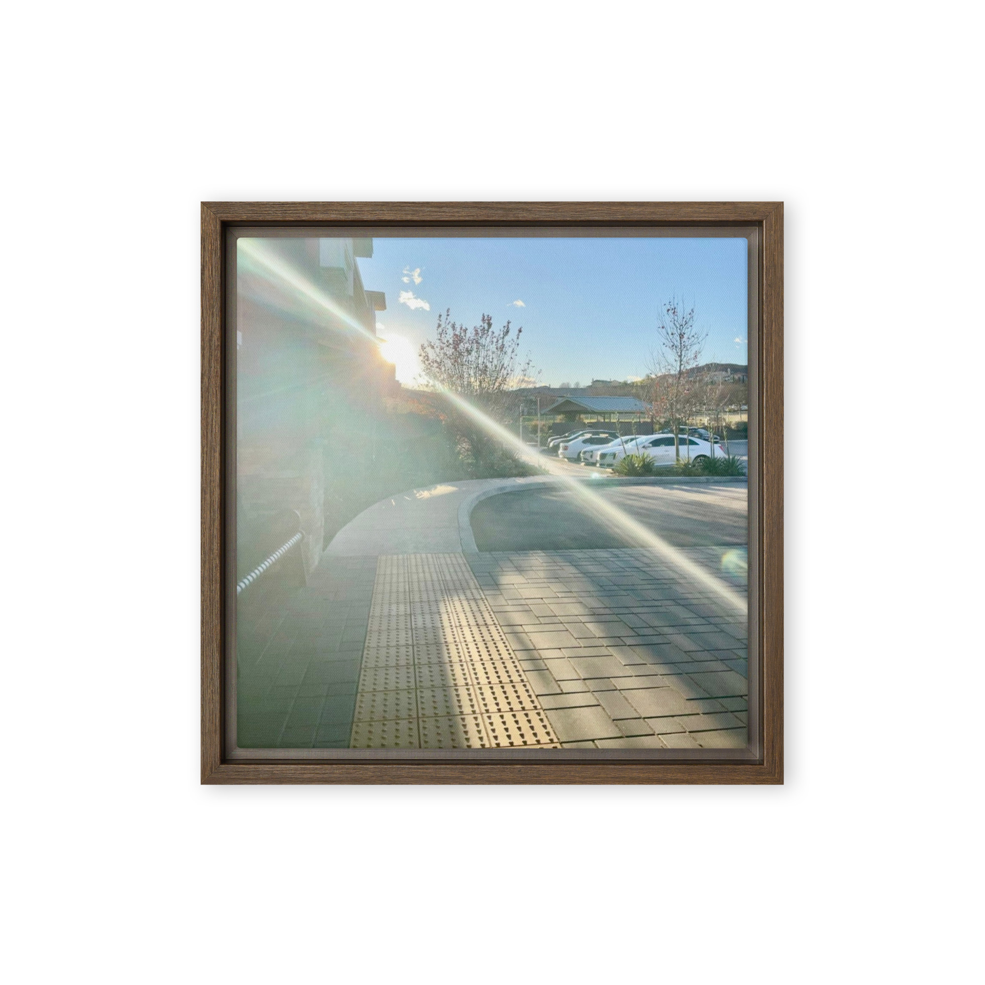 Paid In Sunlight - Image 2
