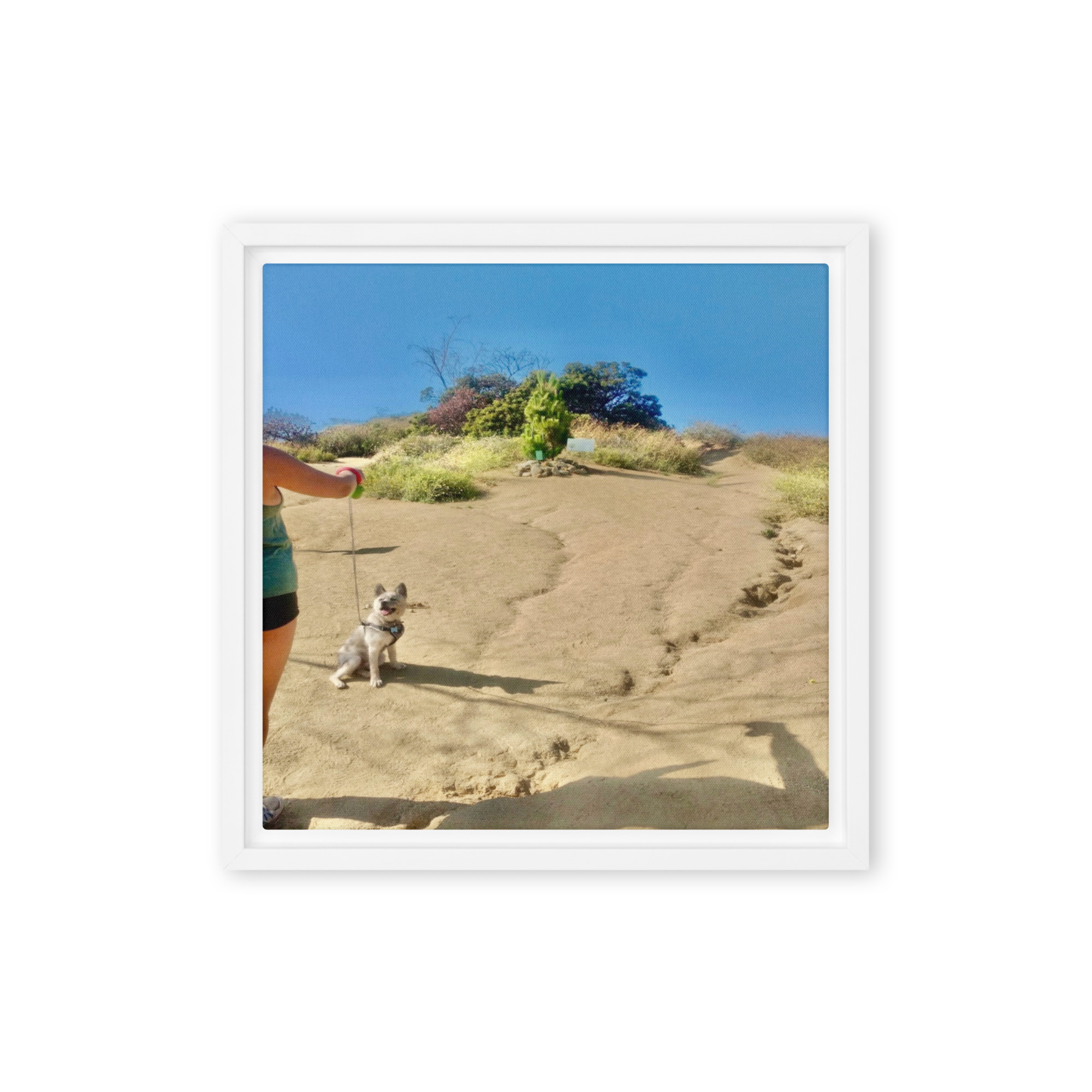Trail and Error - Image 3