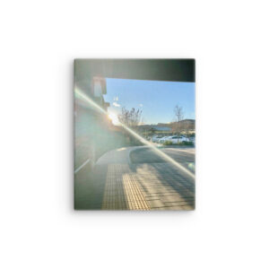Paid In Sunlight