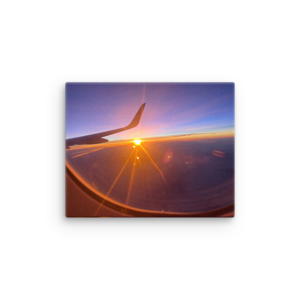 Spring Flight