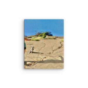 Trail and Error