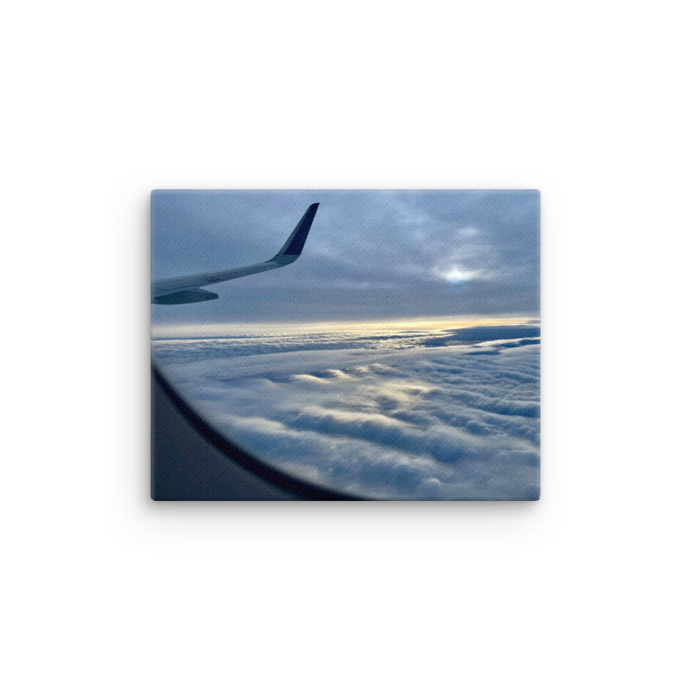 Winter Flight